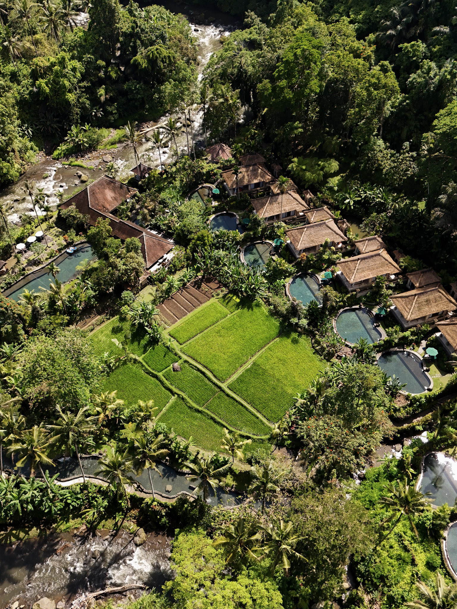 Royal Pita Maha Bali Ubud