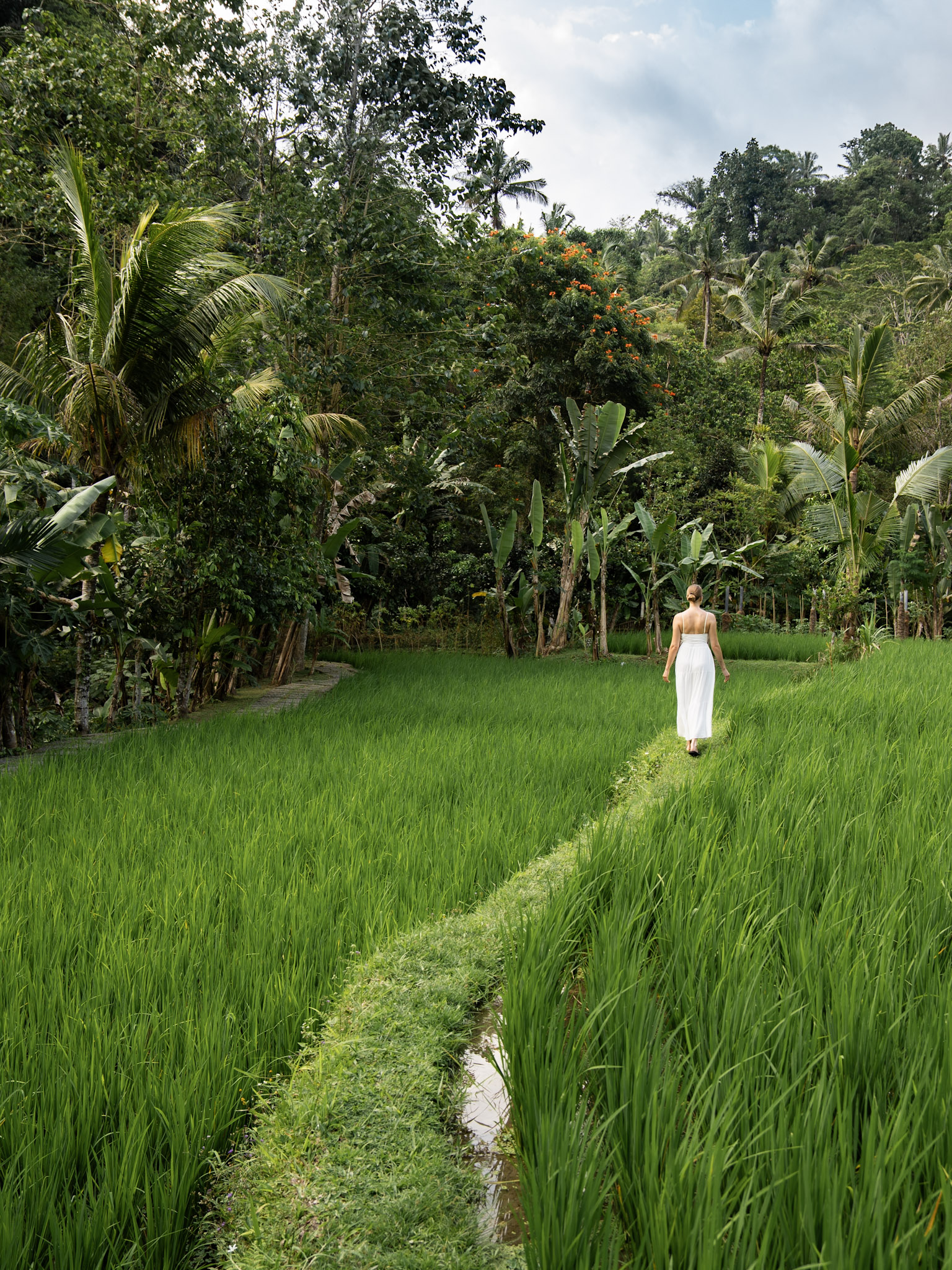 Royal Pita Maha Bali Ubud 13