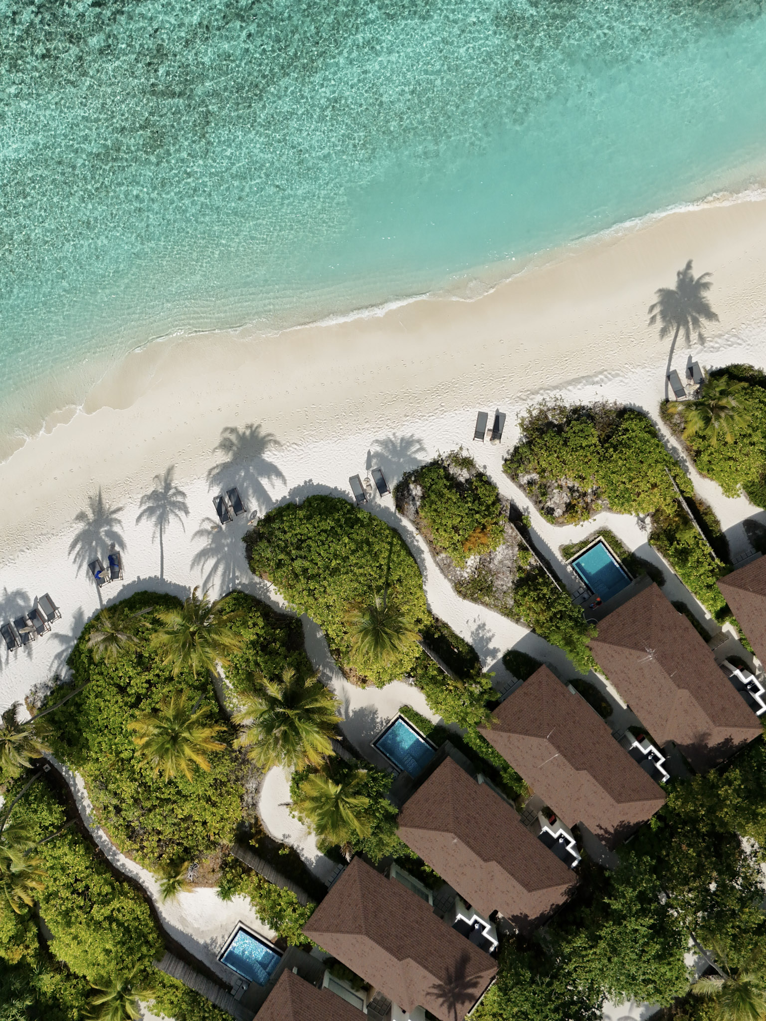 Avani Fares Maldives Photos Reviews8