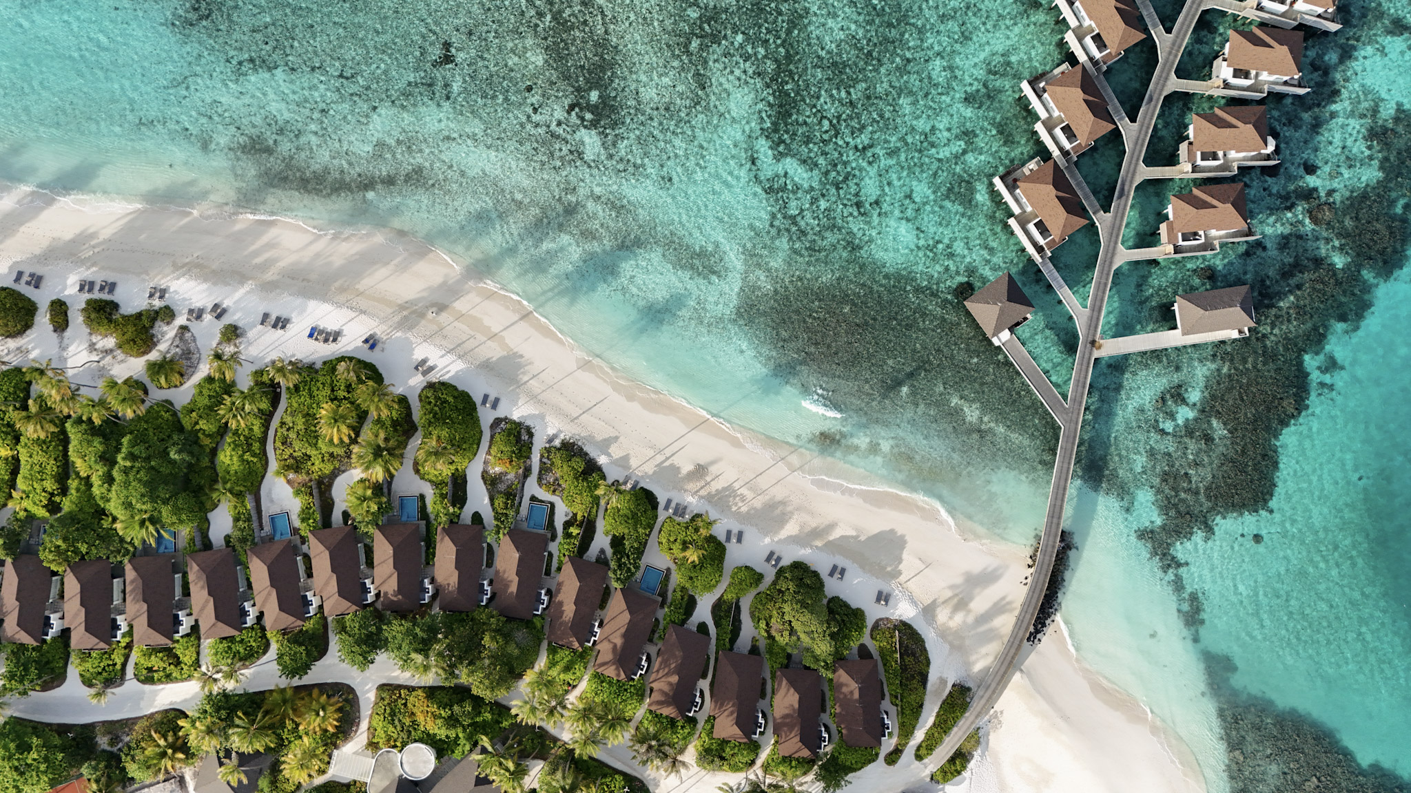 Avani+ Fares Maldives | Full Tour & Review